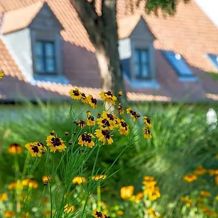 Le Cap Hornu Saint-Valery-sur-Somme