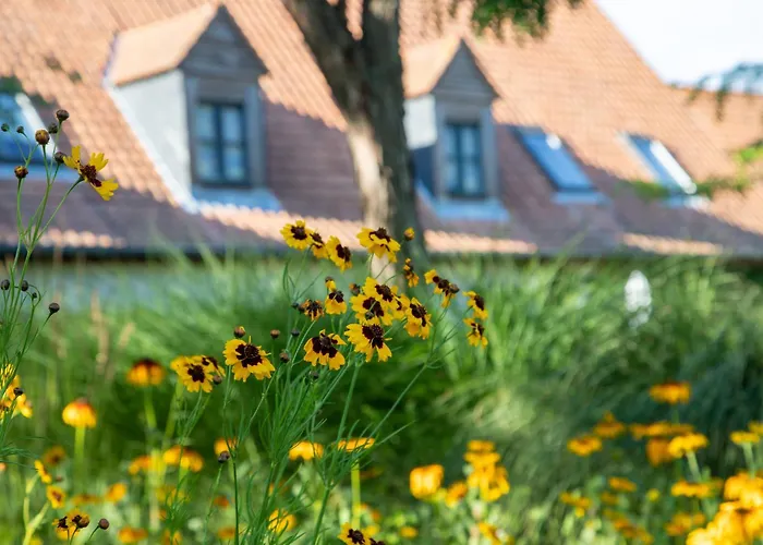 Hotel Le Cap Hornu Saint-Valéry-sur-Somme